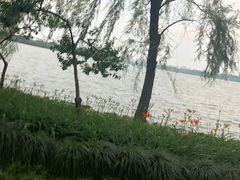 -苏堤停车场