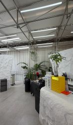 -BOF HAIR BY HONTO