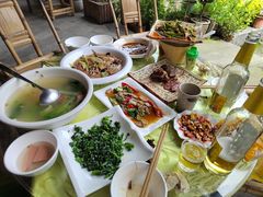 -龙翔山庄雷鸡肉(青城后山泰安古镇店)