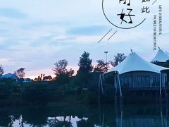 -帐篷客·溪龙茶谷度假酒店