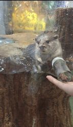 -Zoolung Zoolung动物主题公园(海信广场店)