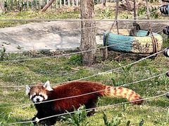 -哈尔滨北方森林动物园