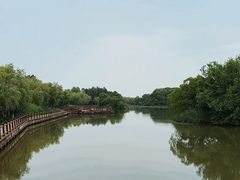 -艾溪湖湿地公园