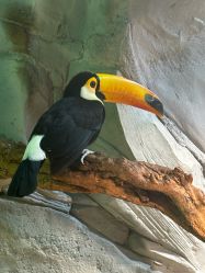 -Zoolung Zoolung动物主题公园(海信广场店)