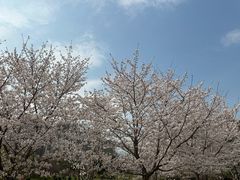 -堤角公园