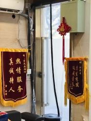 -碧莲盛·不剃发植发