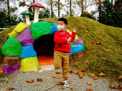 -上海长兴岛郊野公园