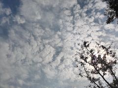 -祝甸砖窑文化馆