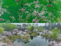 -鸡鸣寺