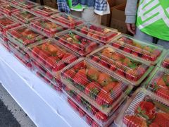 -南京市无想山景区