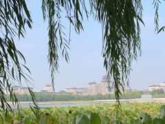 -莲花池公园