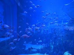 -石家庄极地海洋世界