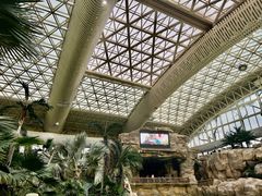 -杭州开元森泊度假乐园