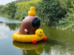 -黄海国家森林公园