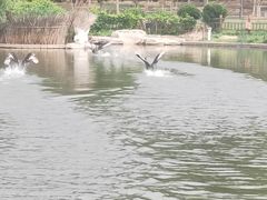 -燕郊植物园