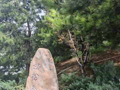 -河北省园博园