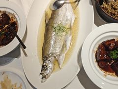 -席家花园(巨鹿花园店)