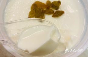 Kashgar Handmade Yogurt