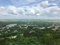 -上海佘山国家森林公园西佘山园