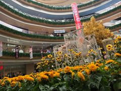 -上海长风大悦城