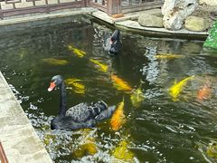 -湖鲜楼