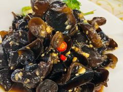 黄山黑木耳-百利鸽王(紫薇路店)