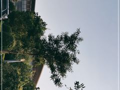 -太原武宿国际机场