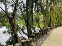 -老木棉·匠园