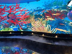 -唐宫足道·SPA·住宿24H会所(木渎店)