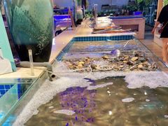 -万象·复兴号鲜肉烤肉海鲜自助(升级店)