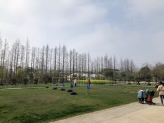 -前小桔亲子创意农场·草莓采摘·露营烧烤