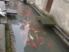 -前童古镇