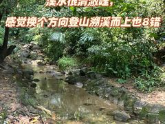 -火炉山森林公园