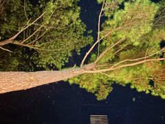 -老淳安—伴山伴湖(千岛湖开元度假村店)