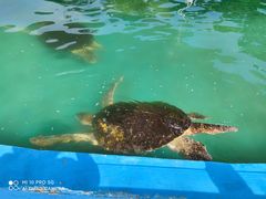 -北戴河圣蓝海洋公园