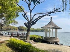 -同里湖度假村(二期店)