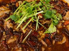 -三猫黑鱼花(南大店)