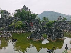 -千岛湖石林