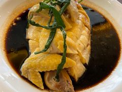 葱油鸡-新镇江酒家(南京西路店)