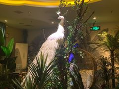 -泰谷玲抓龙筋SPA·泰式按摩(五一广场店)