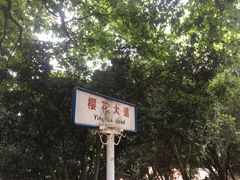 -梅园食堂