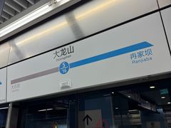-大龙山(地铁站)