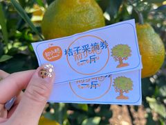 -前小桔亲子创意农场·草莓采摘·露营烧烤