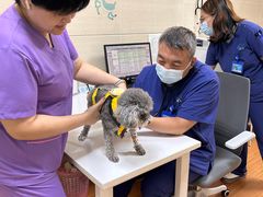 -北京观赏动物医院·24小时大型综合·猫专科·异宠专科