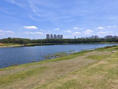 -盘龙城国家考古遗址公园