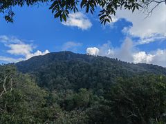 -云南屏边大围山国家公园