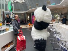 -王家渡火锅店(棕榈泉店)