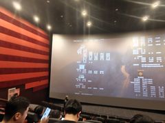 -华谊兄弟影院(IMAX洋桥店)