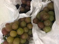 -马陆小张葡萄园农家乐