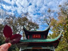 -岳麓山风景名胜区